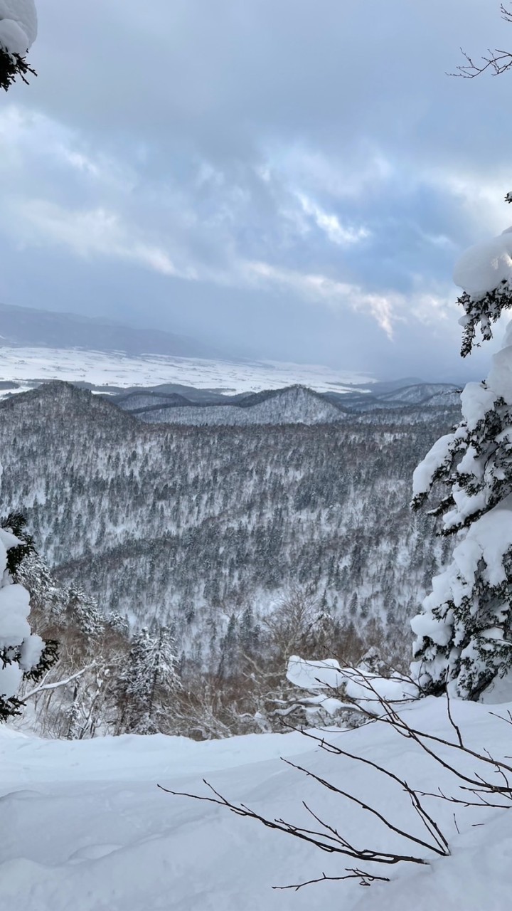 北海道スノーボード🏂ご一緒どうですか？