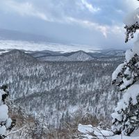 北海道スノーボード🏂ご一緒どうですか？