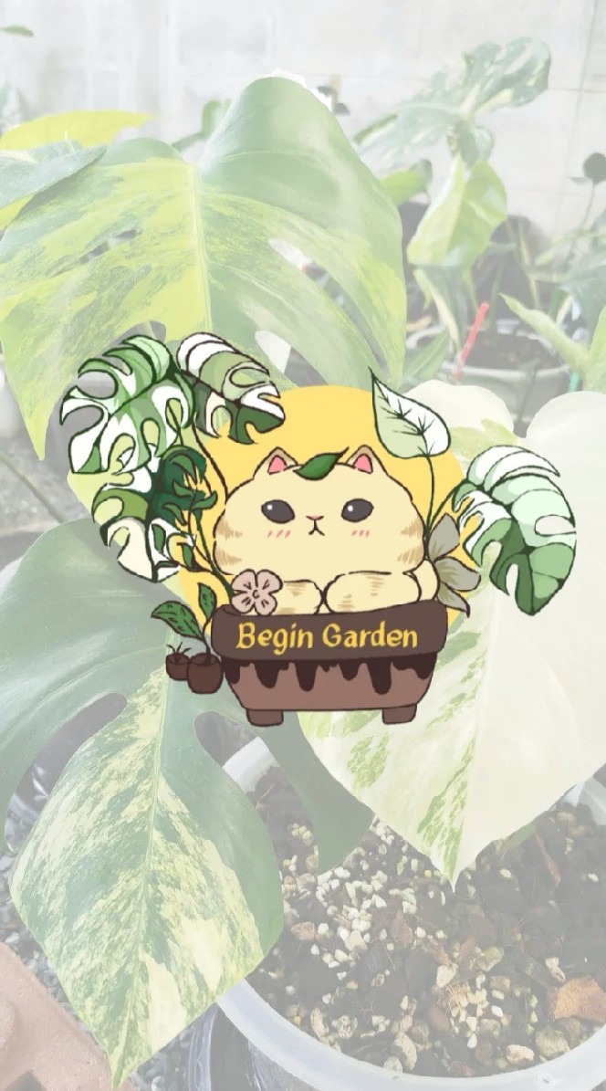 Begin Garden 💚