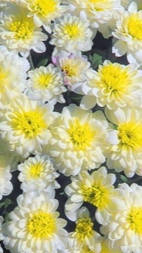 全国介護職⭐︎雑談交流