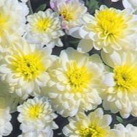 全国介護職⭐︎雑談交流
