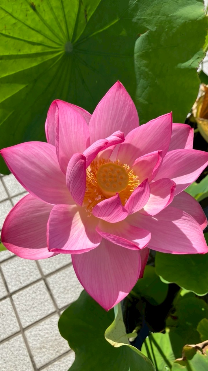 全国介護職⭐︎雑談交流