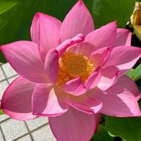 全国介護職⭐︎雑談交流