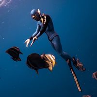 流浪邦勞的自潛員們