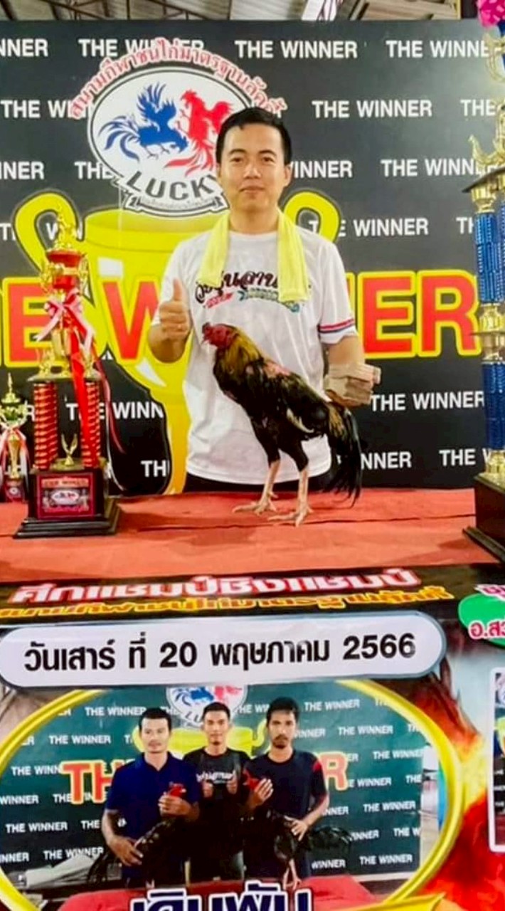 อ.นัดป.นำโชคนครพนม #คนแท้💯ไก่แท้💯 ของแท้💯🏅แข้งจริงในสนาม🏅💯