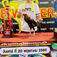 อ.นัดป.นำโชคนครพนม #คนแท้💯ไก่แท้💯 ของแท้💯🏅แข้งจริงในสนาม🏅💯
