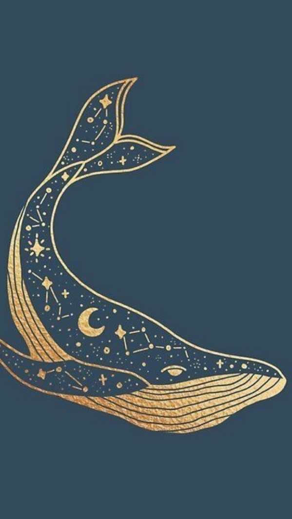 chant de baleine