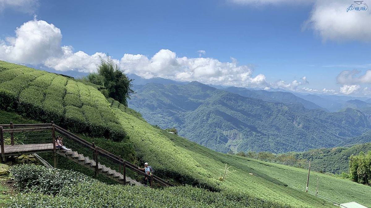 嘉義最消暑玩法！２大瀑布祕境＋10條森林步道：阿里山五星級步道、嵐山竹林
