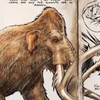ARK Switch 非公式PVE 「MH NOW」
