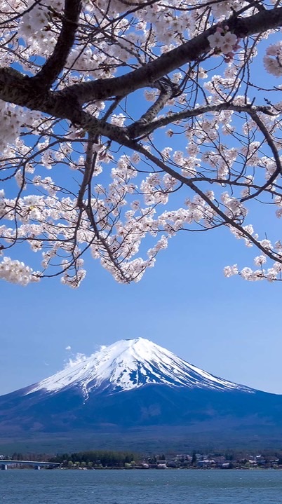 รับหิ้ว สินค้า เครื่องสำอาง จากญี่ปุ่น🇯🇵