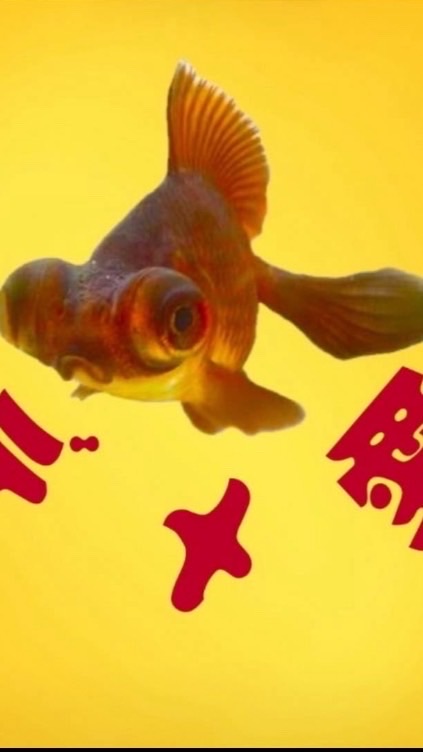 デメキン愛好会