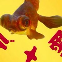 デメキン愛好会
