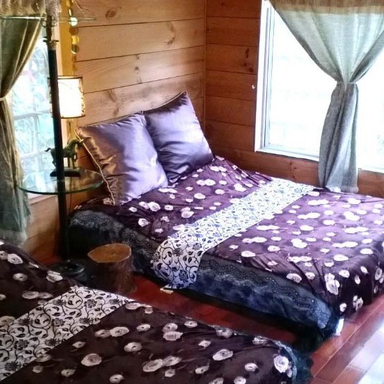 「楚留香民宿」位於泰安鄉清水村裡，這裡有一畝畝草莓、向日葵及許多不知名花草的百花田所包圍，夜晚滿天星星特別的明亮，清新香甜的空氣是都市叢林最難能可貴的。 白天處在翡翠山谷，猶如天之涯，一年四季變幻無常