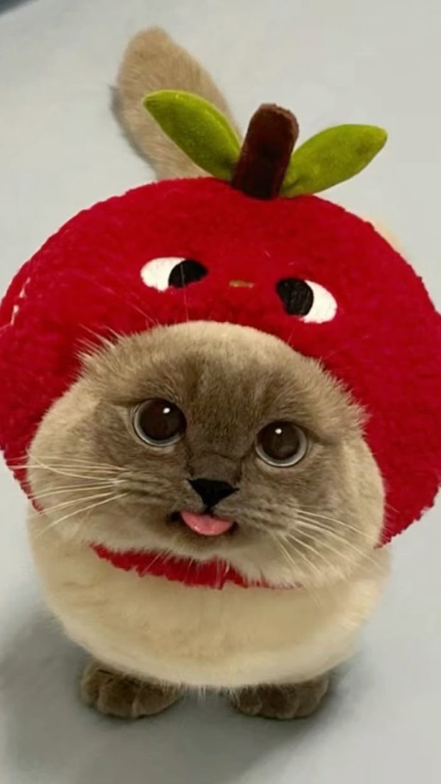 มะแอ๊ะชอบตะขบสุก🍒