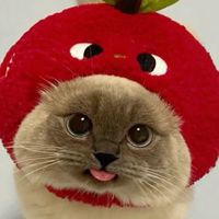 มะแอ๊ะชอบตะขบสุก🍒