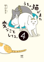 うちの猫がまた変なことしてる うちの猫がまた変なことしてる ４ 電子特典付 卵山玉子 Line マンガ