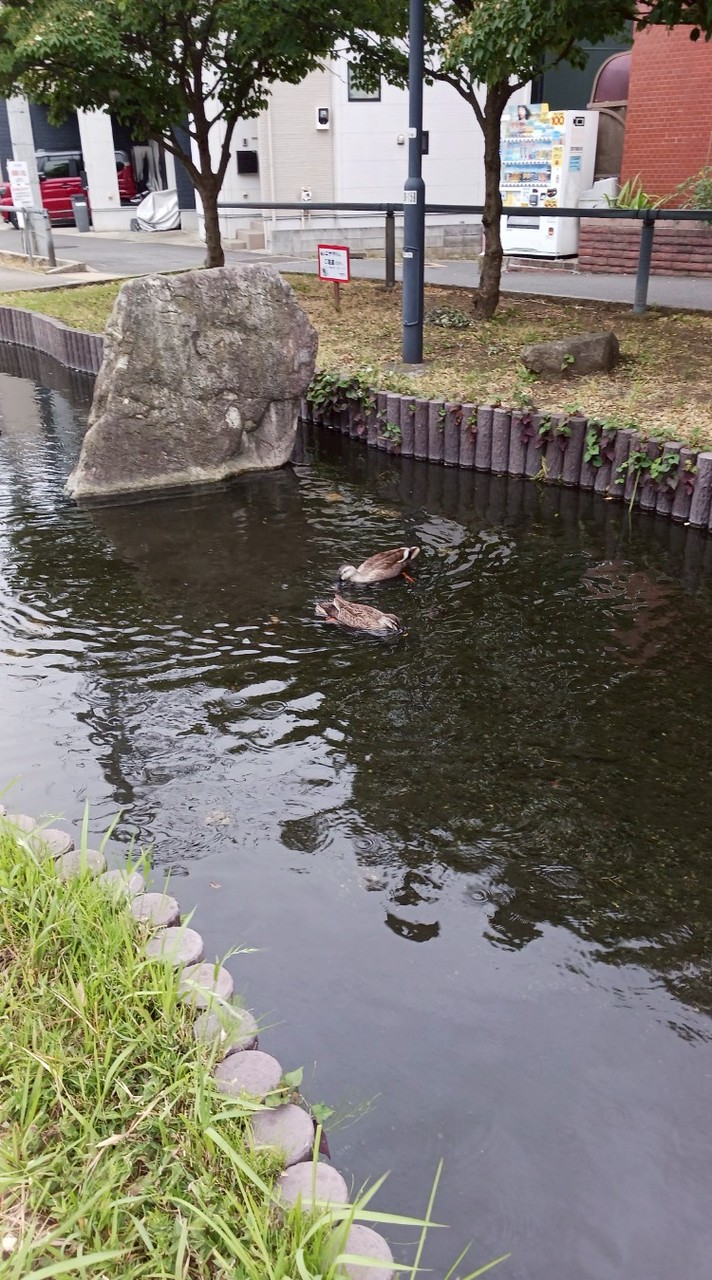 井田こども文化センター保護者用オープンチャット