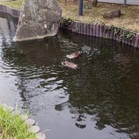 井田こども文化センター保護者用オープンチャット