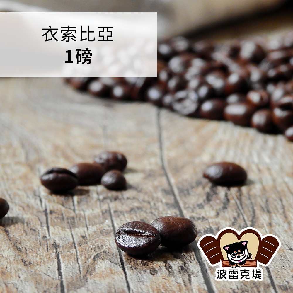 衣索比亞 耶加雪菲G1咖啡豆(現烘) 1磅/半磅《泡泡生活》