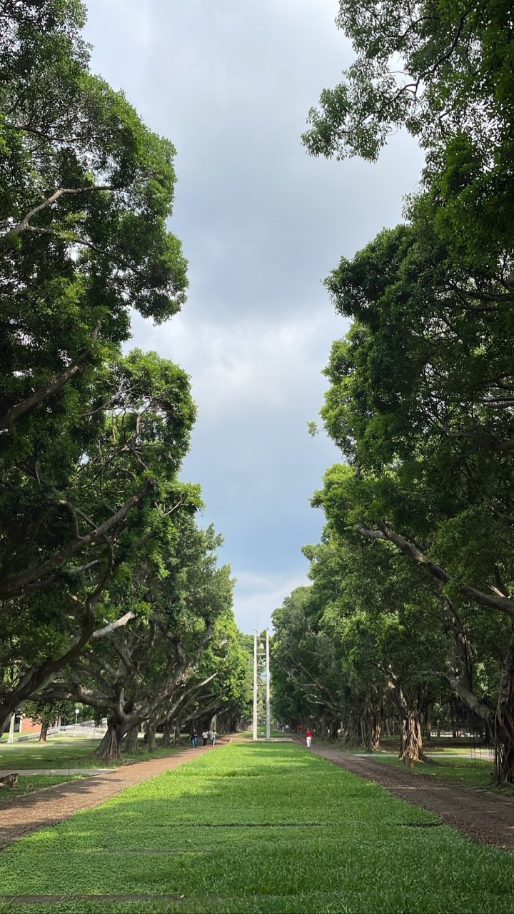 東海雄友聊天群組(東海高雄人交流區)
