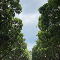 東海雄友聊天群組(東海高雄人交流區)