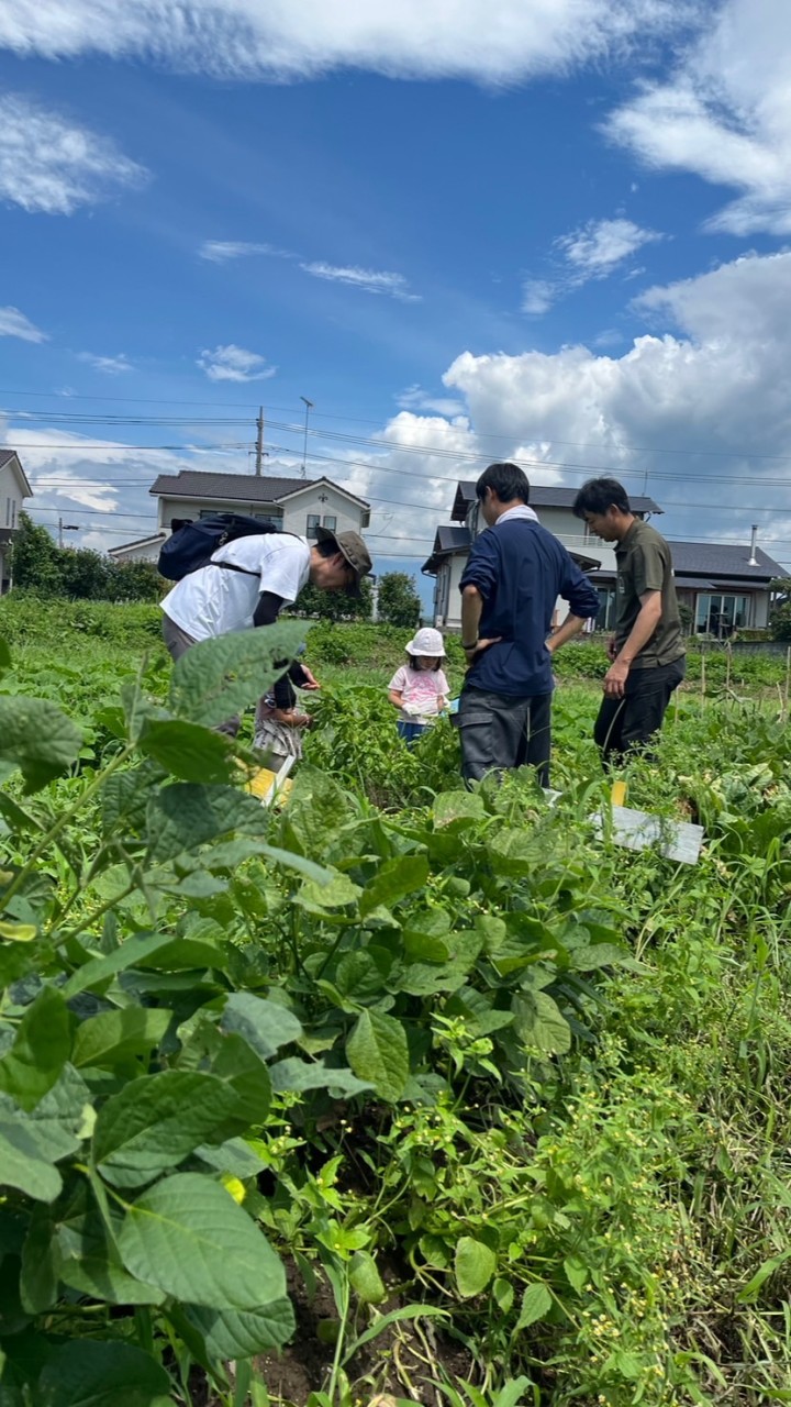 【栃木県塩谷町】しおむすび連絡用