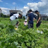 【栃木県塩谷町】しおむすび連絡用