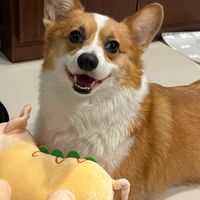 化妝～～