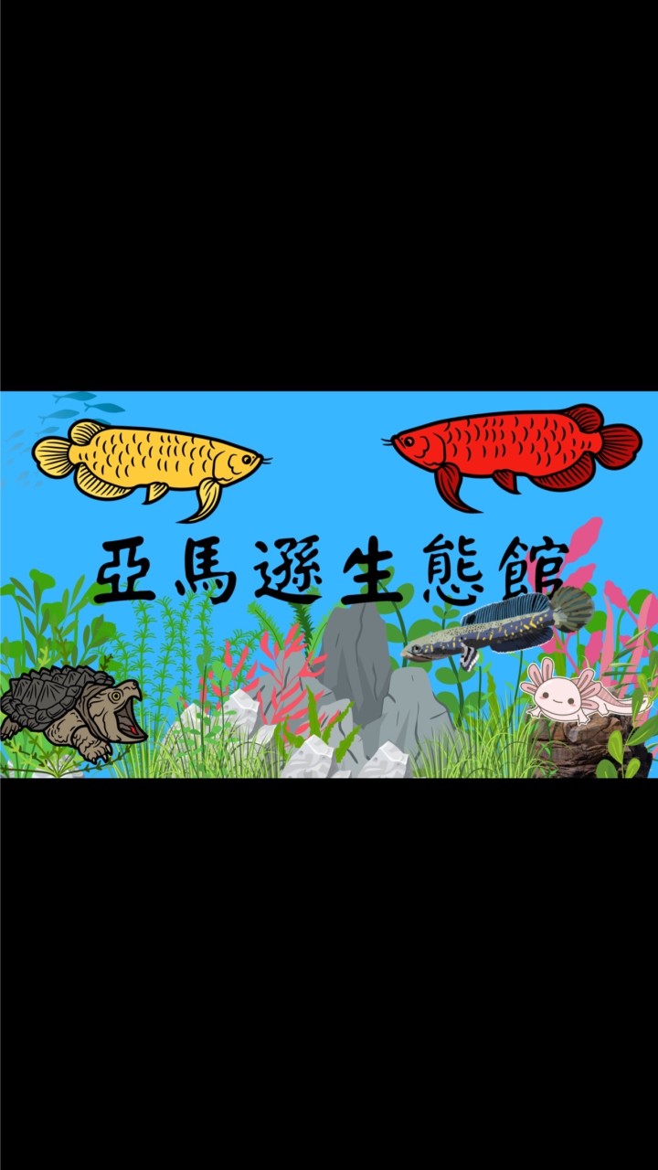 亞馬遜生態館-販售 競標 交流