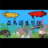 亞馬遜生態館-販售 競標 交流