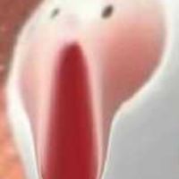 FOR | 戰隊ت