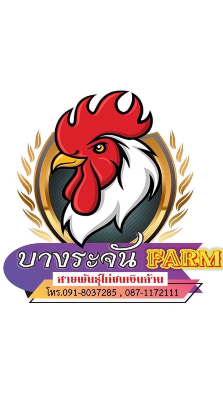 ไก่ชนบางระจันฟาร์ม