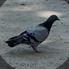 ほとんど雑談！おじさん構文を極めようぜよ
