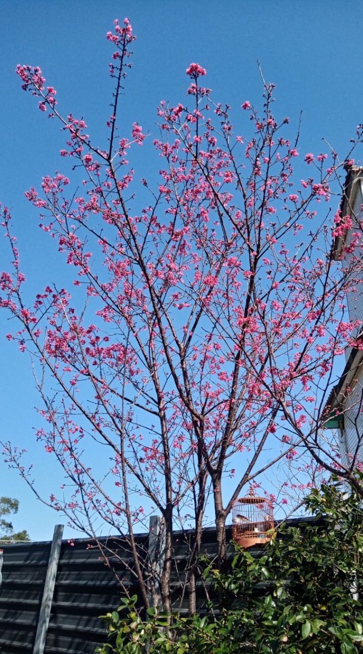👀天闊社區公告板