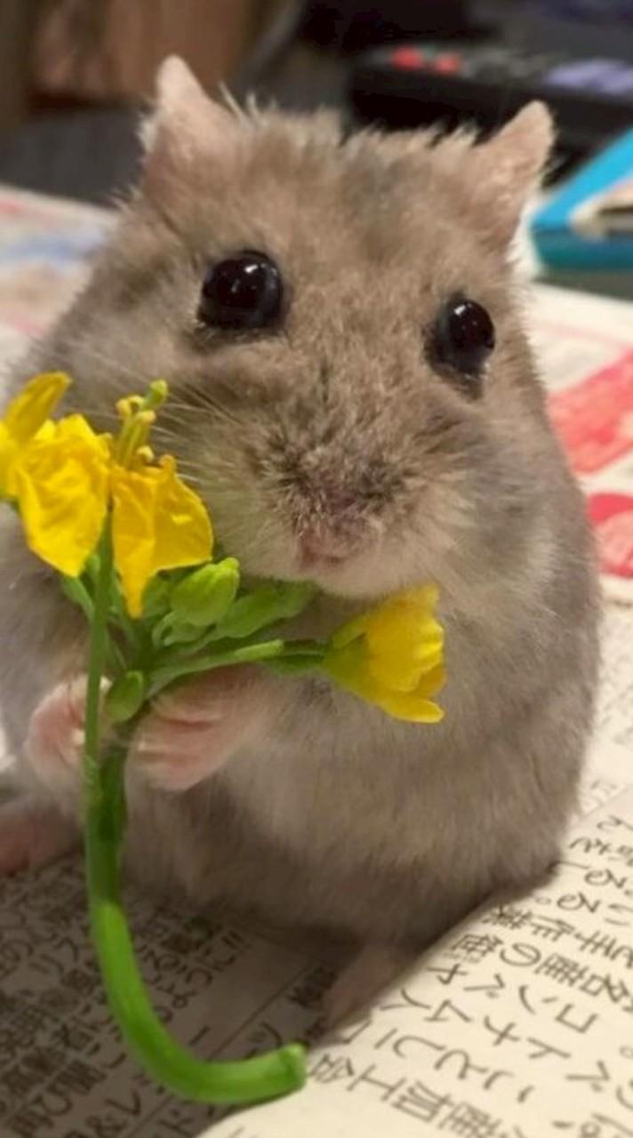 แลกเฟส แลกไอจี แลกไลน์