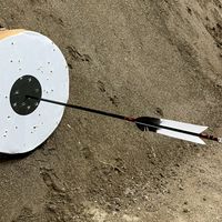 武蔵大学弓道部 R8新歓