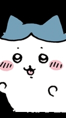 114木柵國中優良學生