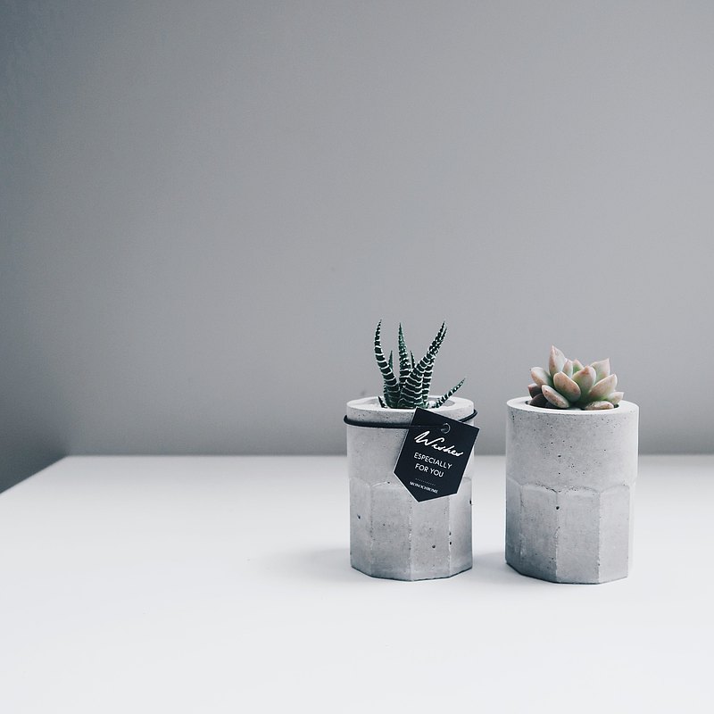 水泥材質的小酒杯，搭配仙人掌與多肉植物，來為自己乾一杯！是種鼓舞，是種慶祝，敬每一天的我們，繼續加油活的更精彩！ ※ 植物可客製種植多肉或仙人掌，我們會為您的小酒杯做最美的搭配與種植。