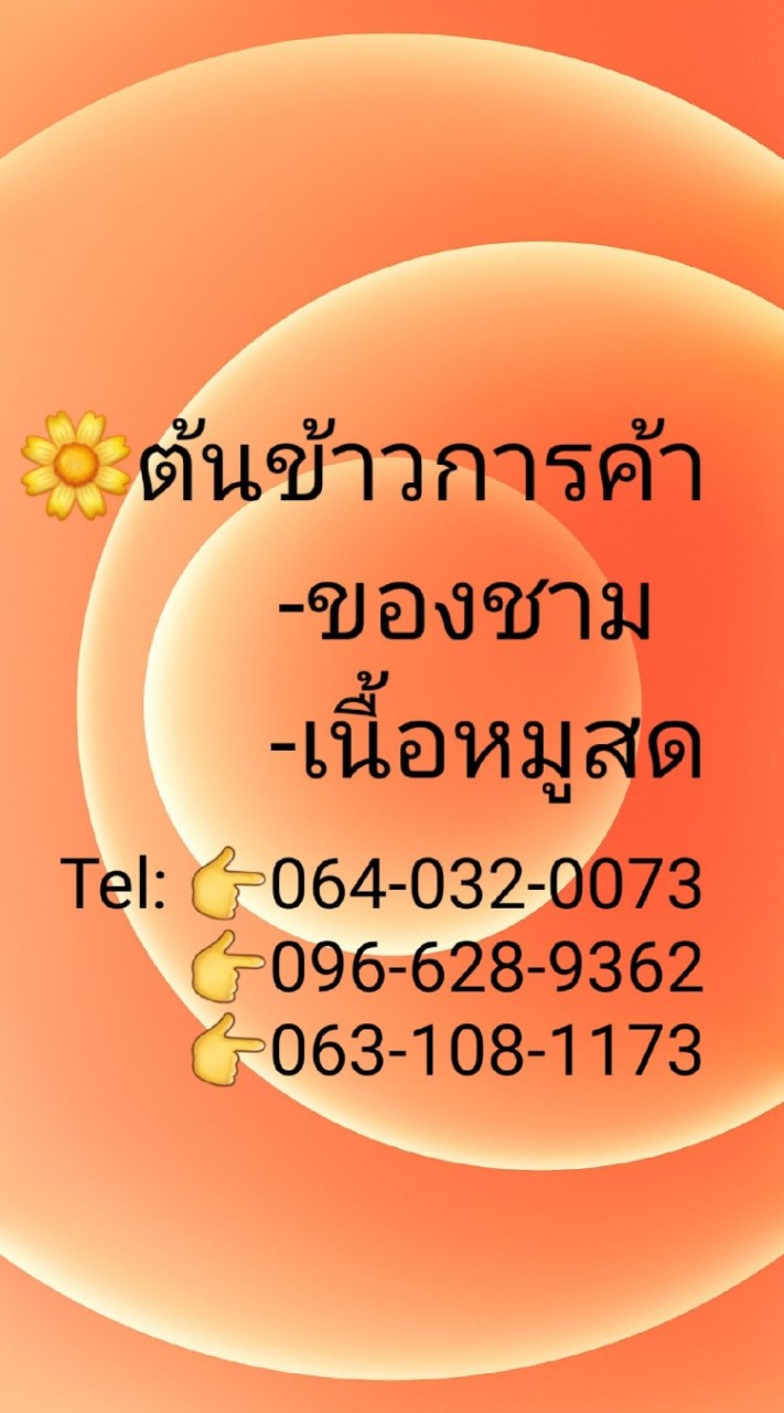 🔮 ต้นข้าวการค้า🔮