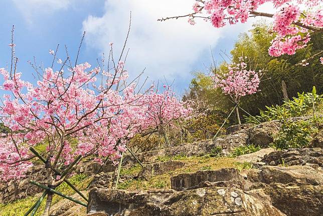 （圖片來源／IG @raymond_lan）