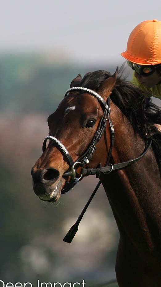 競馬 & 雑談 チャット　(ギャンブル全般)のオープンチャット