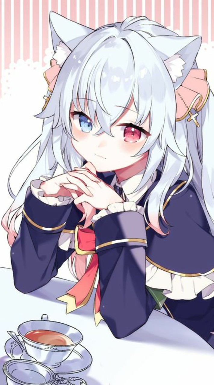 聊天·處關係學校