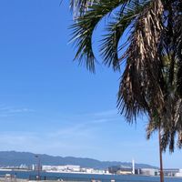 大阪初老の定例会