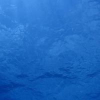 おサカナ図鑑:お魚(観賞魚)好きアクアリスト集まれ〜海水魚サンゴ淡水魚