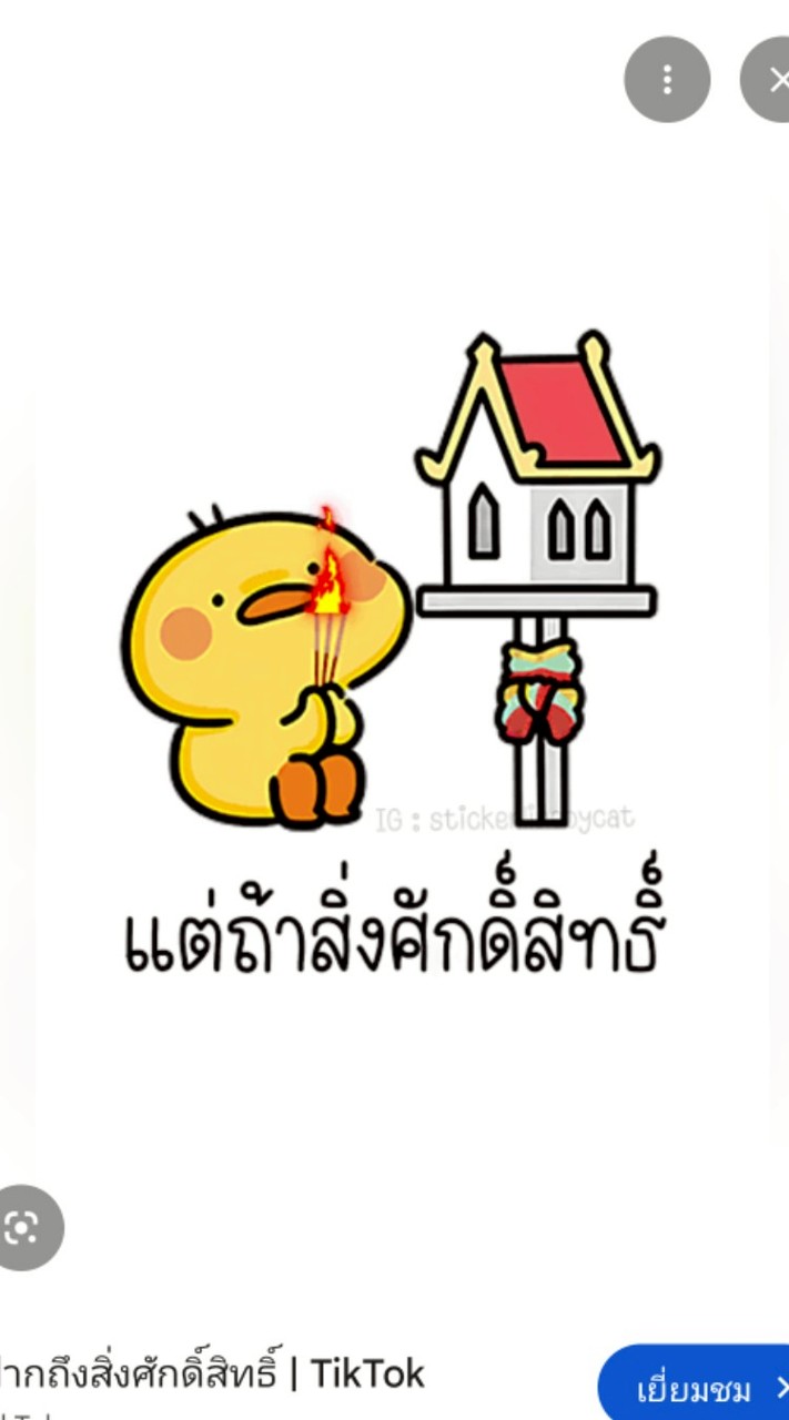 กีฬาสี-Team สีขาว 2026🏳
