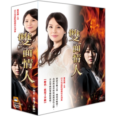 韓劇 雙面情人DVD 【原名：真是了不起】
