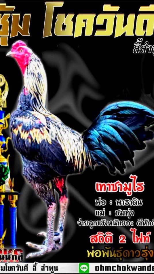 ซุ้มโชควันดี ลี้ ลำพูน