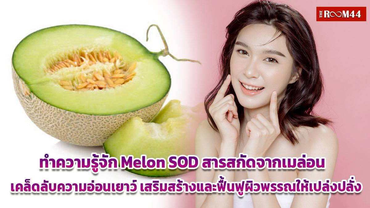 ทำความรู้จัก Melon SOD สารสกัดจากเมล่อน เคล็ดลับความอ่อนเยาว์ เสริม