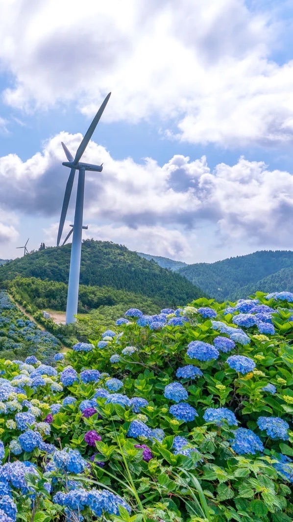 【栃木県/宇都宮市】*͛情報交換 ͙͛