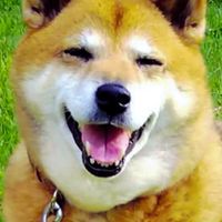 愛犬の会